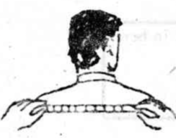 Normal Shoulders and Neck