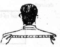 Square Shoulders and Short Neck